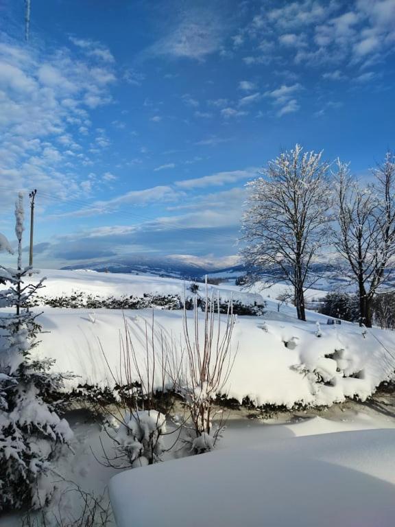Hotel Kacenka Králíky Esterno foto
